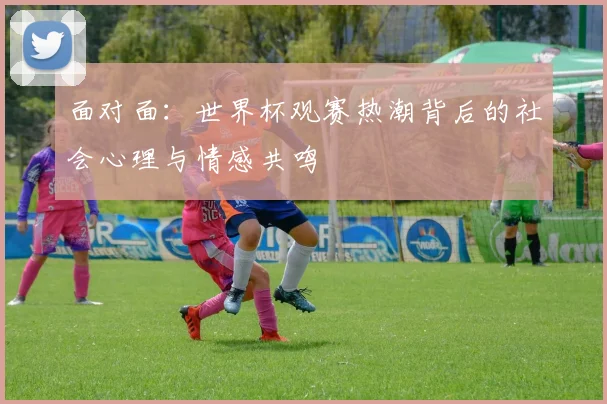 面对面：世界杯观赛热潮背后的社会心理与情感共鸣