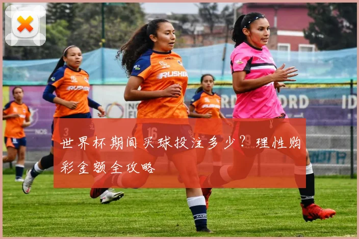 世界杯期间买球投注多少？理性购彩金额全攻略