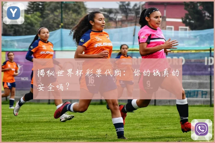 揭秘世界杯彩票代购：你的钱真的安全吗？