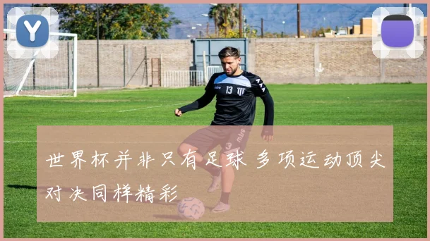 世界杯并非只有足球 多项运动顶尖对决同样精彩