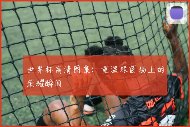 世界杯高清图集：重温绿茵场上的荣耀瞬间