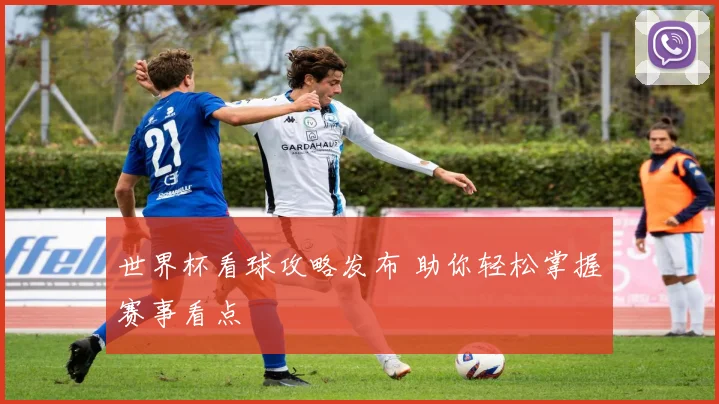 世界杯看球攻略发布 助你轻松掌握赛事看点