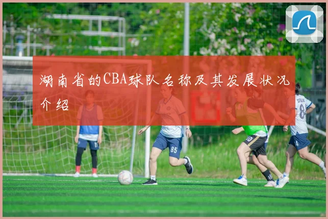 湖南省的CBA球队名称及其发展状况介绍