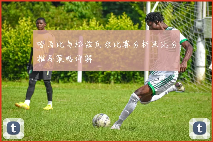 哈马比与松兹瓦尔比赛分析及比分推荐策略详解