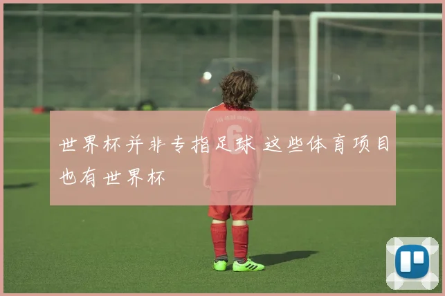 世界杯并非专指足球 这些体育项目也有世界杯