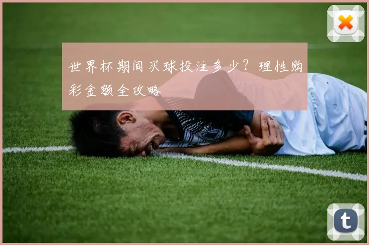 世界杯期间买球投注多少?理性购彩金额全攻略