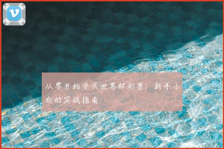 从零开始学买世界杯彩票：新手小白的实战指南