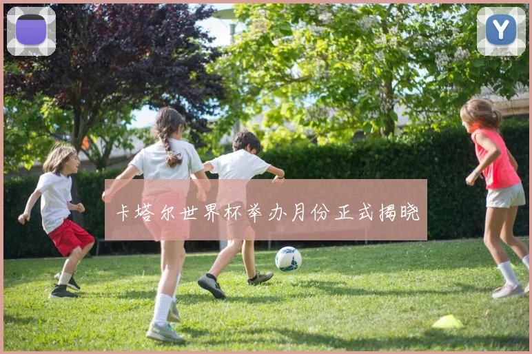 卡塔尔世界杯举办月份正式揭晓