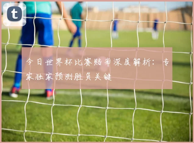 今日世界杯比赛赔率深度解析：专家独家预测胜负关键