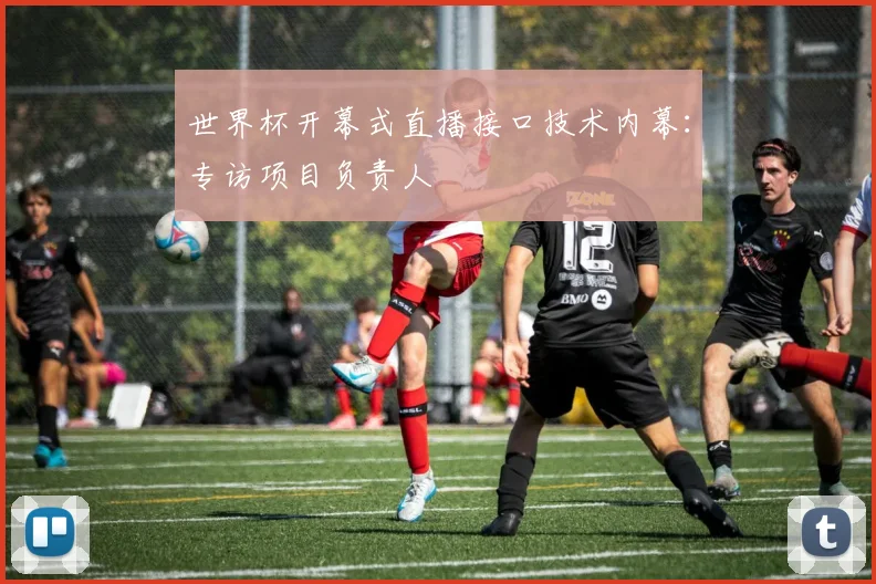 世界杯开幕式直播接口技术内幕：专访项目负责人