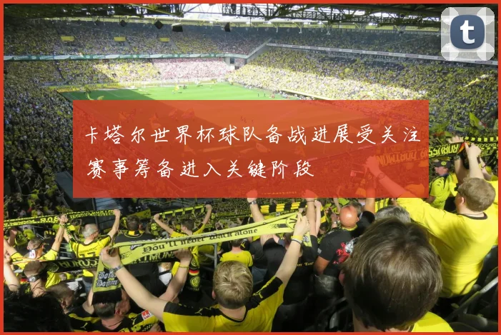 卡塔尔世界杯球队备战进展受关注 赛事筹备进入关键阶段