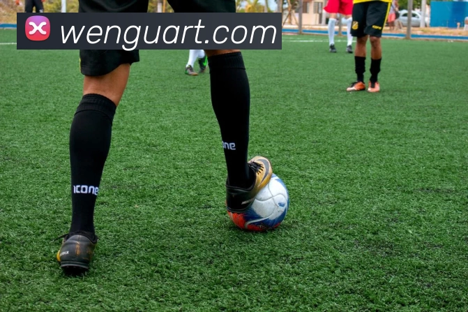 华体会体育平台生态图